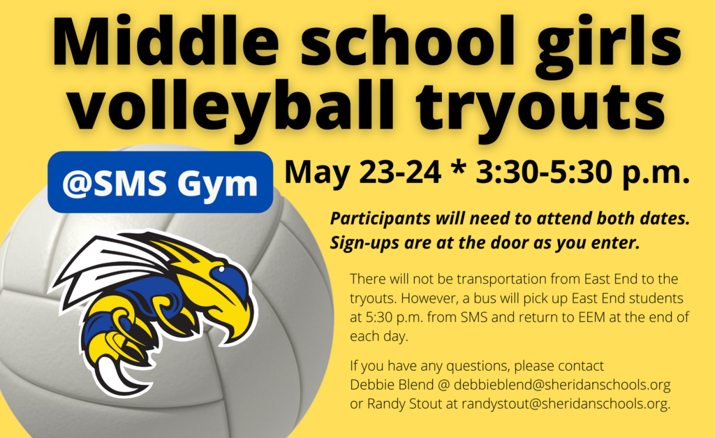 volleyball tryout image